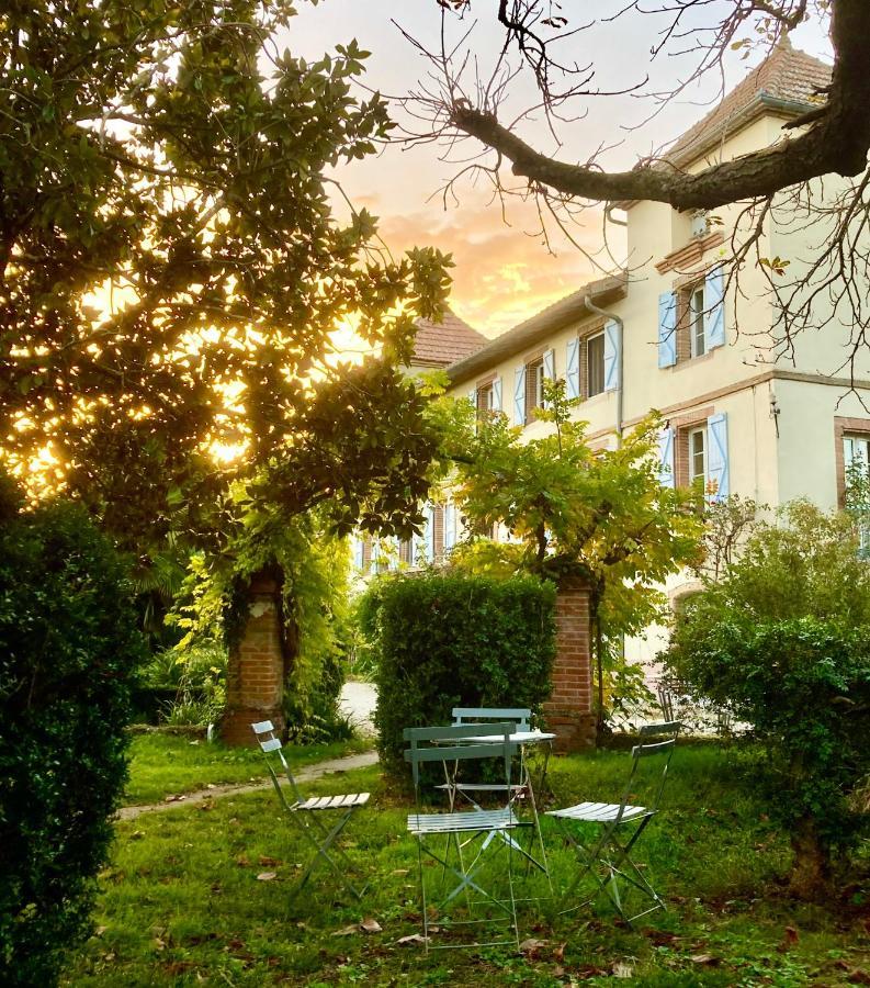 Domaine De Menerque - Petit Chateau Avec Piscine Lisle-sur-Tarn Exteriör bild
