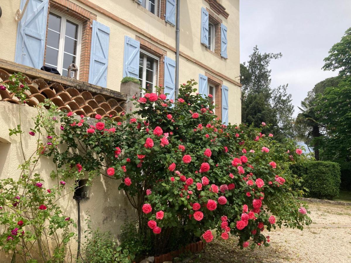Domaine De Menerque - Petit Chateau Avec Piscine Lisle-sur-Tarn Exteriör bild