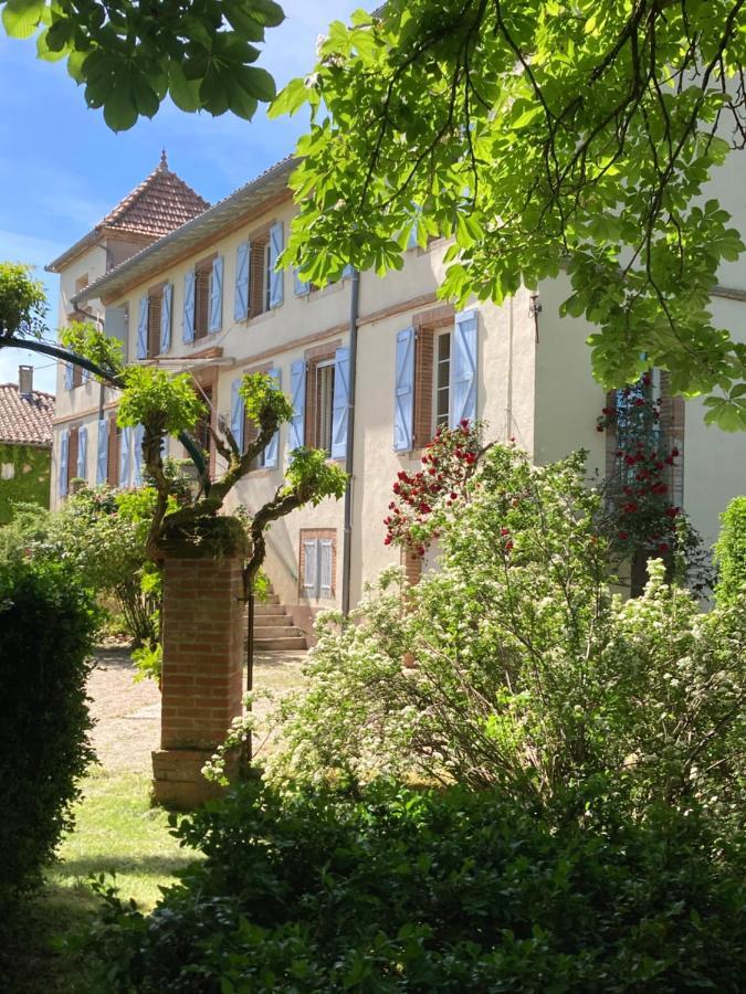 Domaine De Menerque - Petit Chateau Avec Piscine Lisle-sur-Tarn Exteriör bild