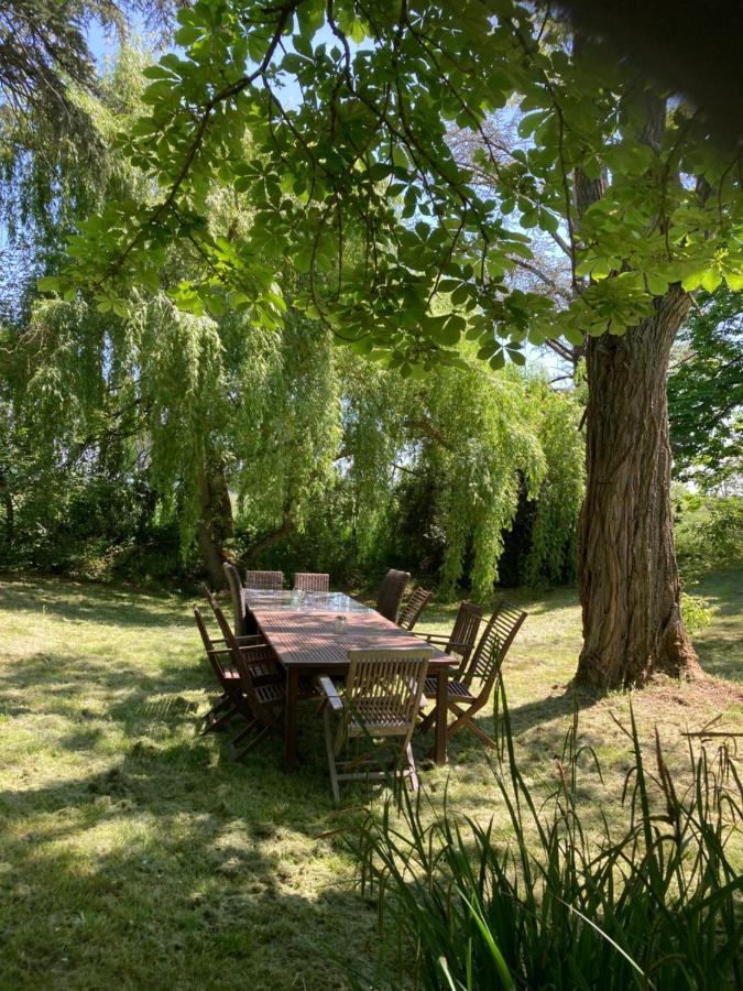 Domaine De Menerque - Petit Chateau Avec Piscine Lisle-sur-Tarn Exteriör bild