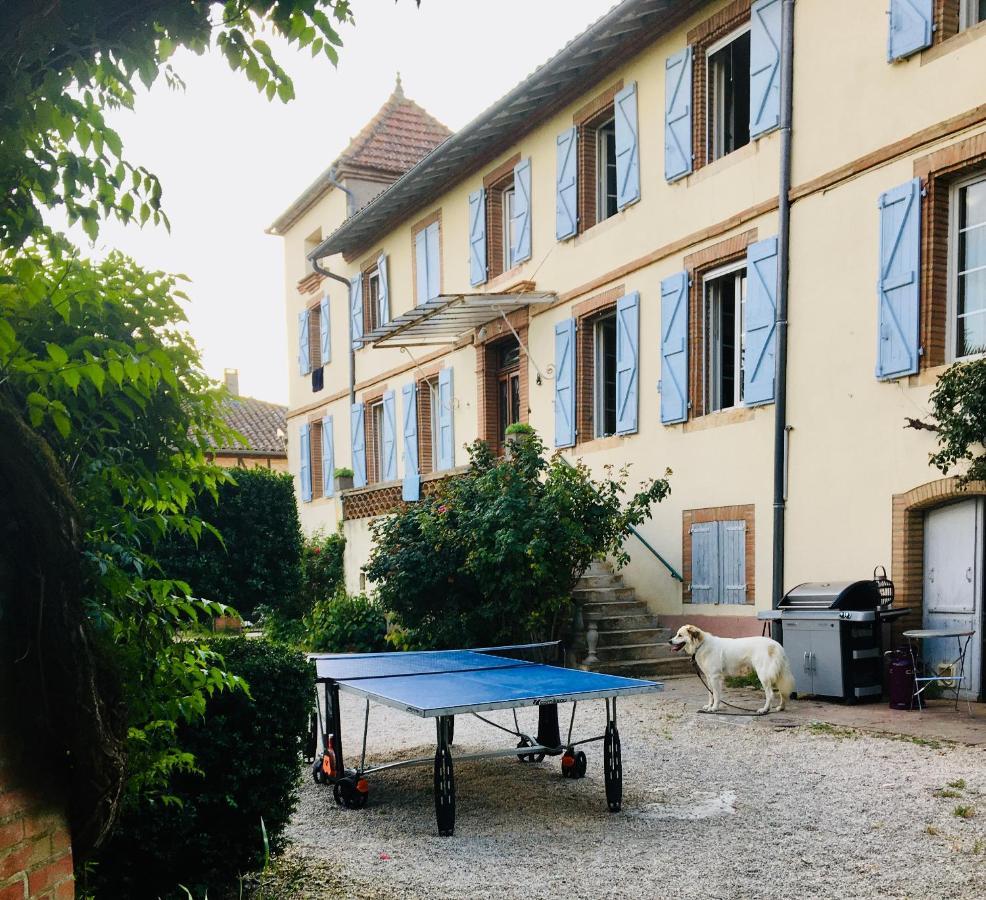 Domaine De Menerque - Petit Chateau Avec Piscine Lisle-sur-Tarn Exteriör bild